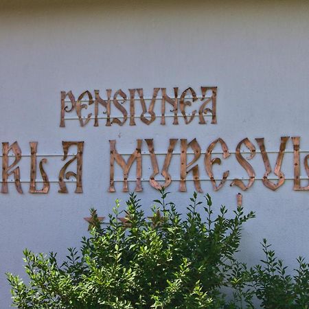Perla Muresului Alba Iulia Zewnętrze zdjęcie